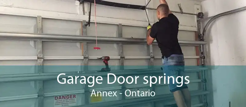 Garage Door springs Annex - Ontario