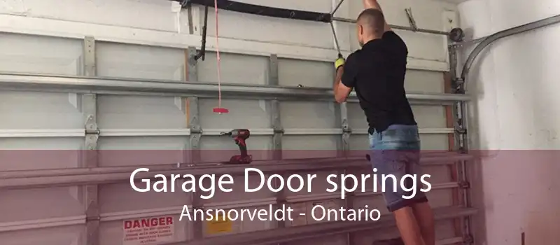 Garage Door springs Ansnorveldt - Ontario