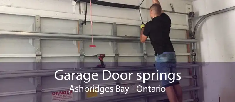 Garage Door springs Ashbridges Bay - Ontario