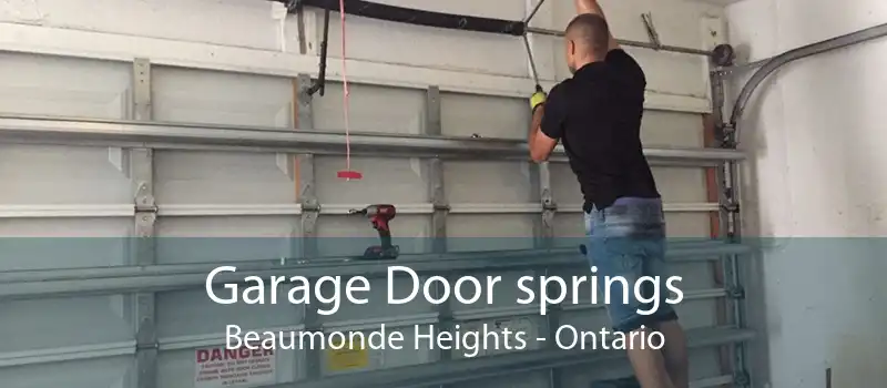 Garage Door springs Beaumonde Heights - Ontario