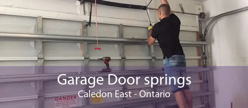Garage Door springs Caledon East - Ontario