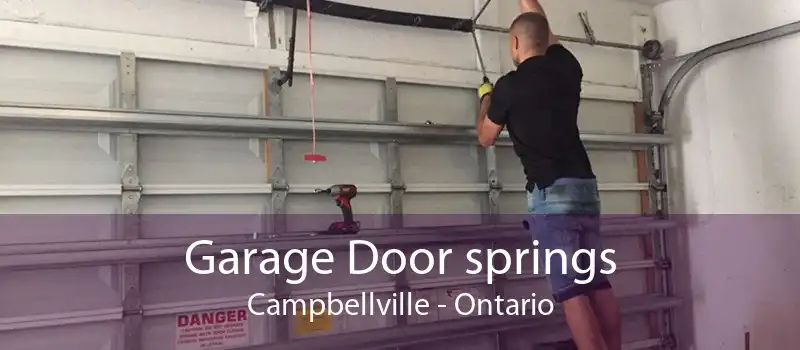 Garage Door springs Campbellville - Ontario