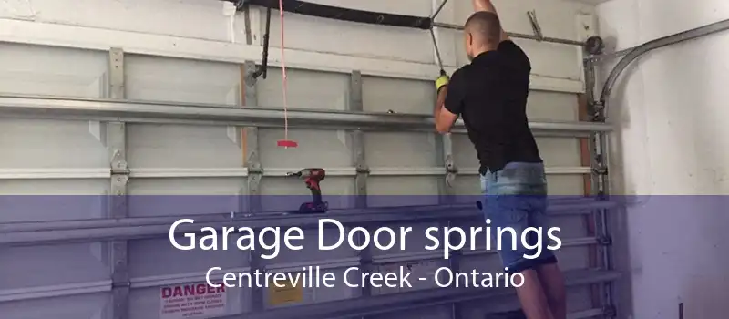 Garage Door springs Centreville Creek - Ontario
