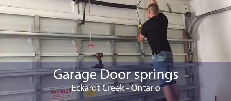 Garage Door springs Eckardt Creek - Ontario