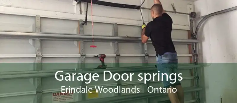 Garage Door springs Erindale Woodlands - Ontario