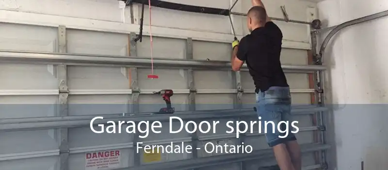 Garage Door springs Ferndale - Ontario