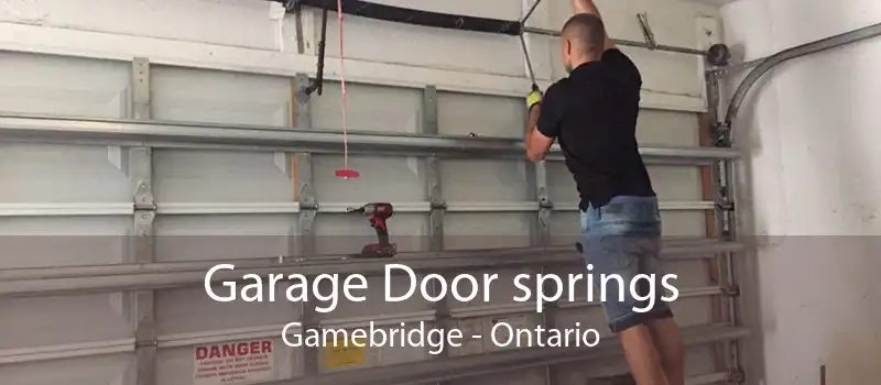 Garage Door springs Gamebridge - Ontario