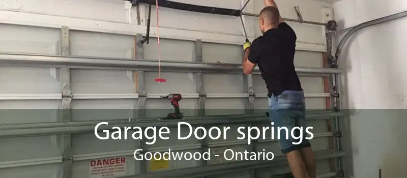 Garage Door springs Goodwood - Ontario