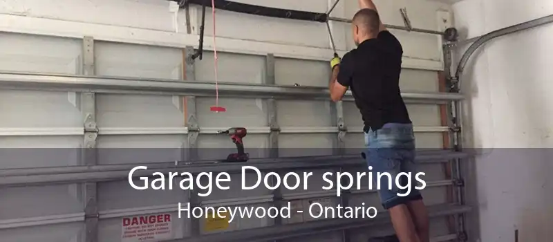 Garage Door springs Honeywood - Ontario