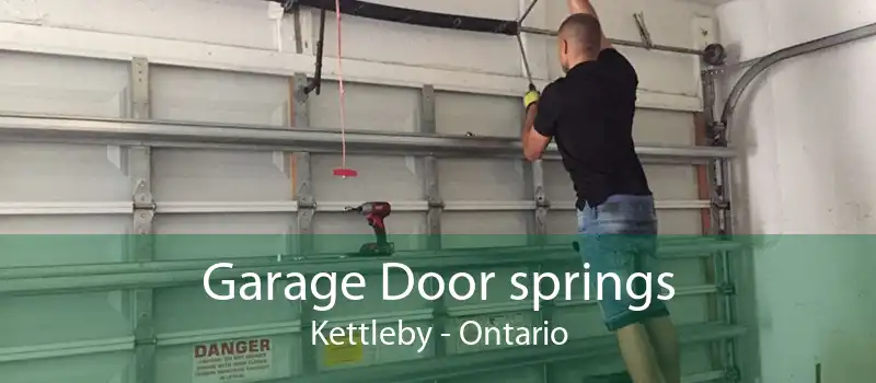 Garage Door springs Kettleby - Ontario
