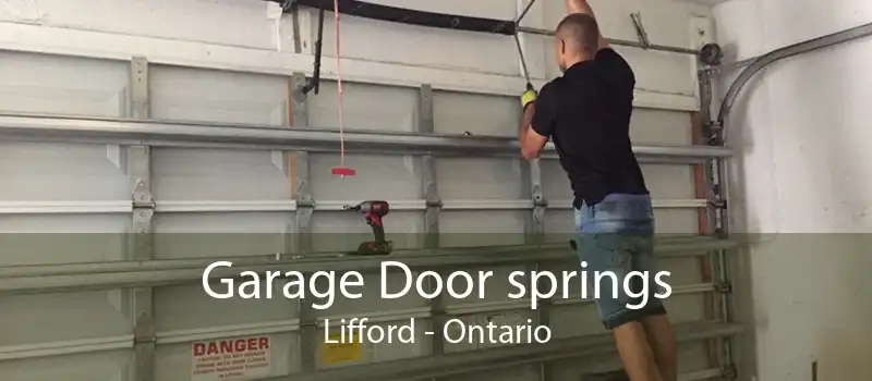 Garage Door springs Lifford - Ontario