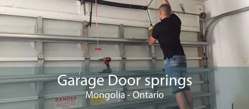 Garage Door springs Mongolia - Ontario
