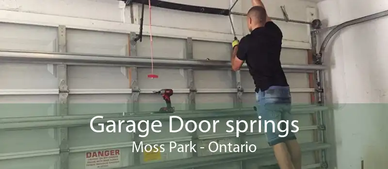 Garage Door springs Moss Park - Ontario