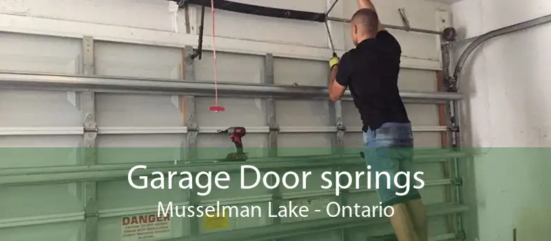 Garage Door springs Musselman Lake - Ontario