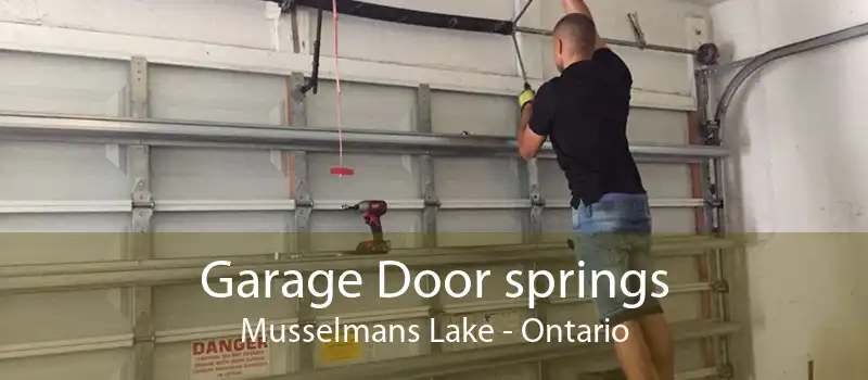 Garage Door springs Musselmans Lake - Ontario