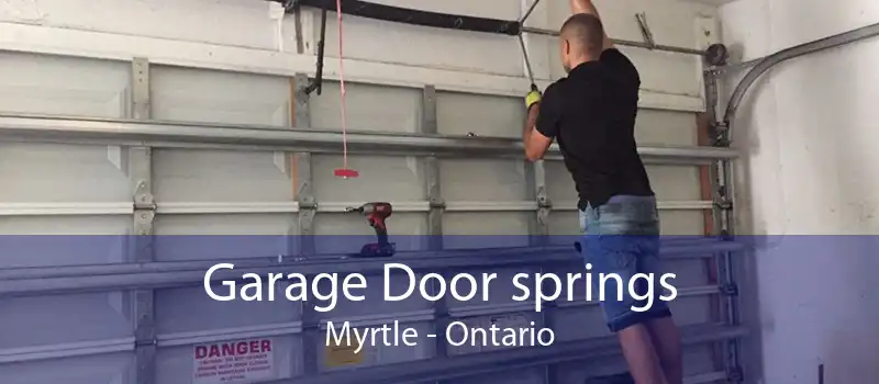 Garage Door springs Myrtle - Ontario