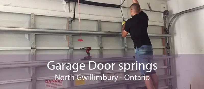 Garage Door springs North Gwillimbury - Ontario
