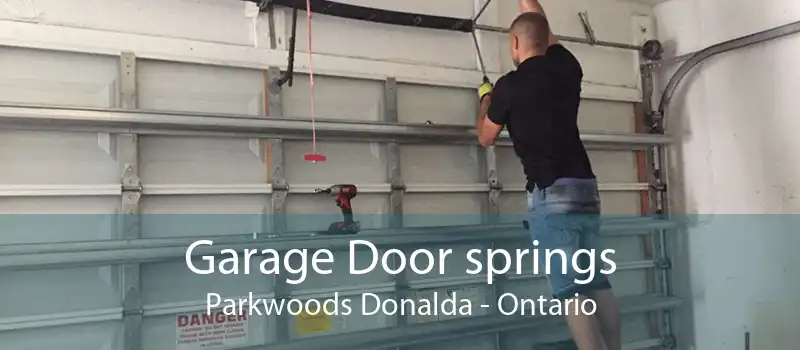 Garage Door springs Parkwoods Donalda - Ontario