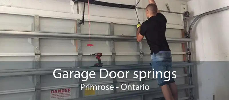Garage Door springs Primrose - Ontario