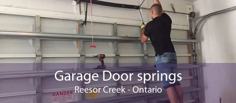Garage Door springs Reesor Creek - Ontario
