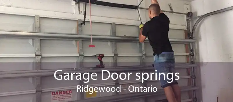 Garage Door springs Ridgewood - Ontario