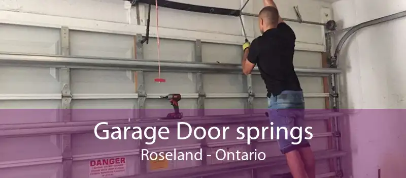 Garage Door springs Roseland - Ontario