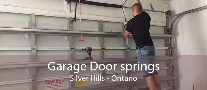 Garage Door springs Silver Hills - Ontario