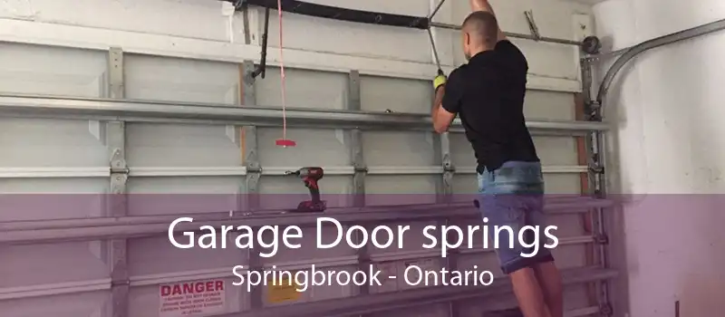 Garage Door springs Springbrook - Ontario