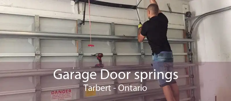 Garage Door springs Tarbert - Ontario