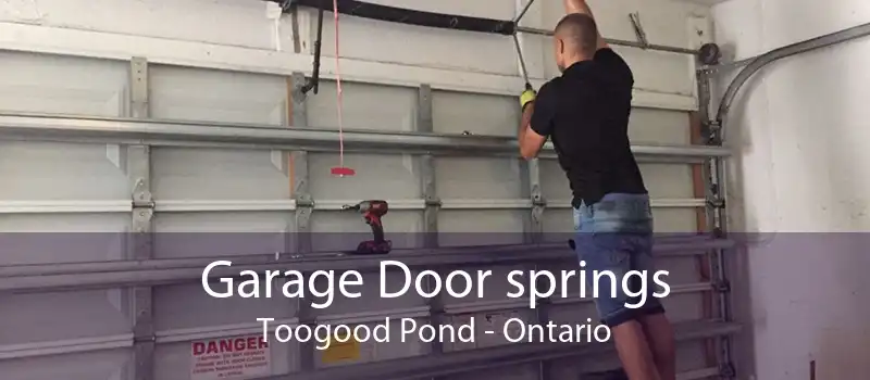 Garage Door springs Toogood Pond - Ontario