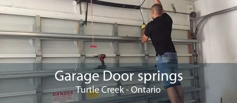 Garage Door springs Turtle Creek - Ontario