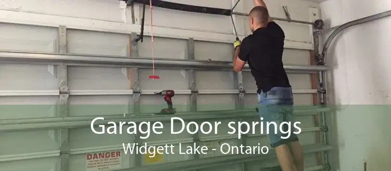 Garage Door springs Widgett Lake - Ontario