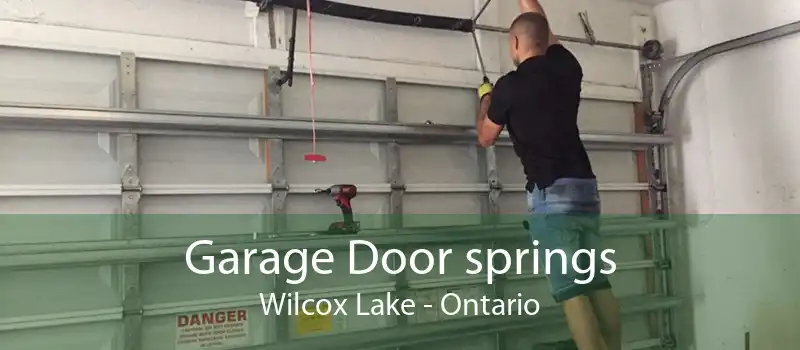 Garage Door springs Wilcox Lake - Ontario