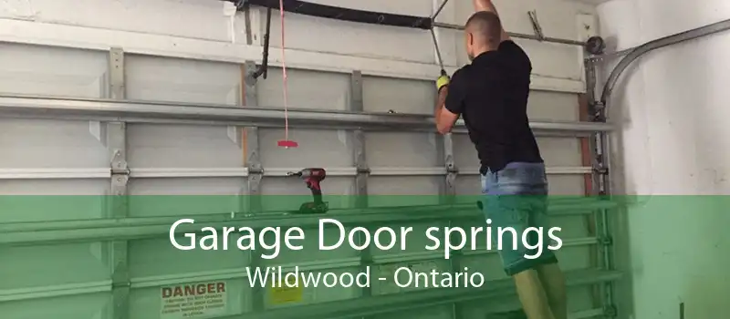 Garage Door springs Wildwood - Ontario
